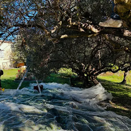 L Ostau De La Treille Limans