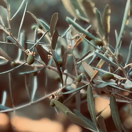 L Ostau De La Treille Pensionat 3*