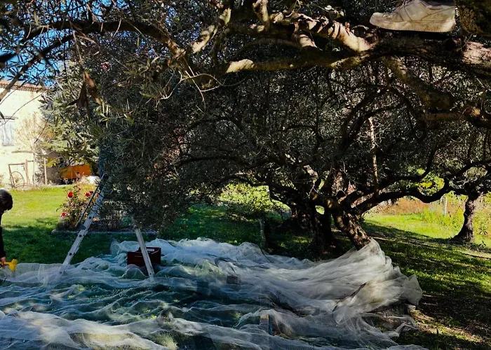 L Ostau De La Treille Limans