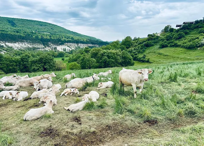 L Ostau De La Treille 3*