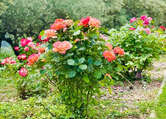 Affittacamere L Ostau De La Treille 3*